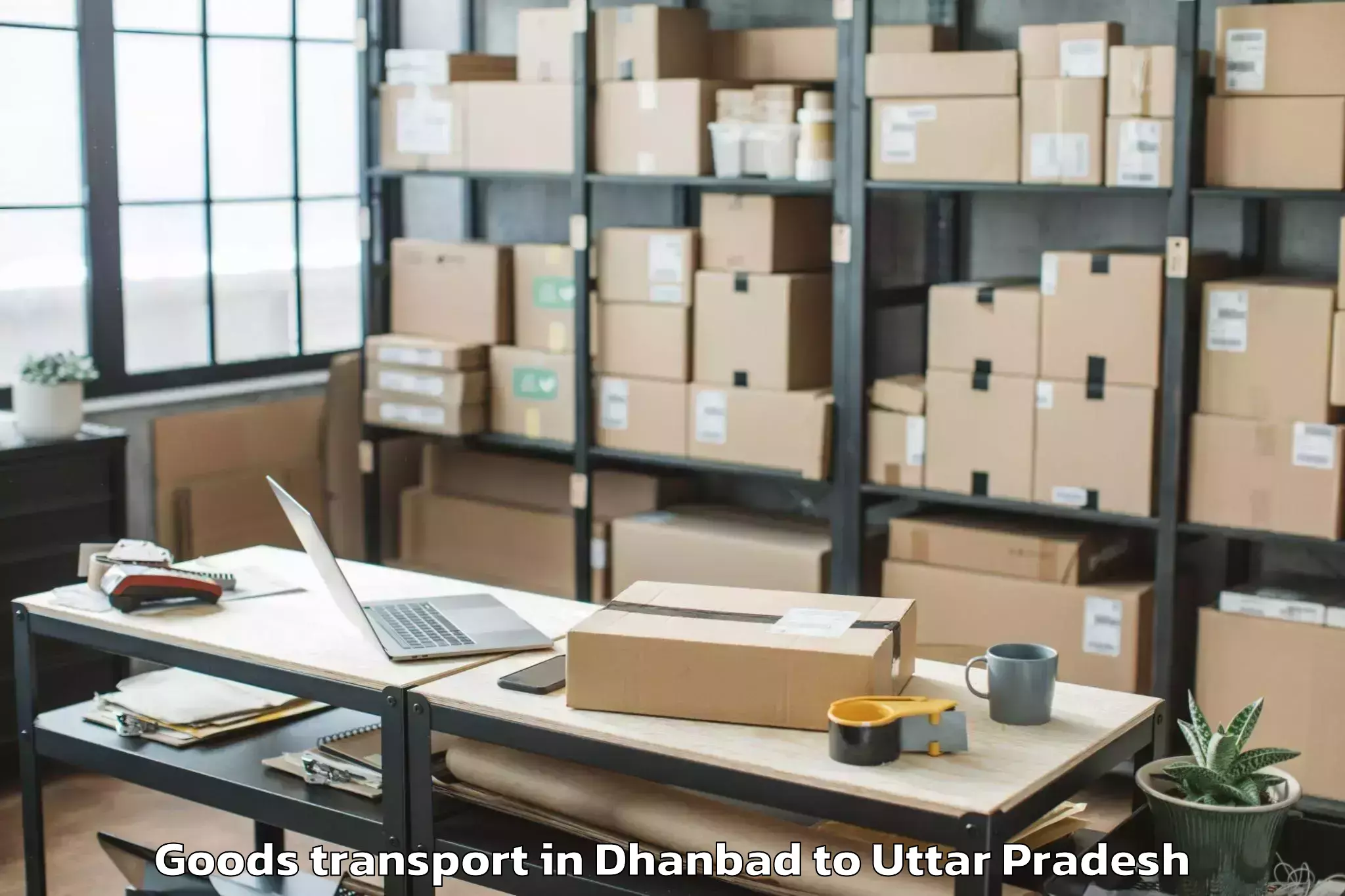 Reliable Dhanbad to Phoenix United Mall Lucknow Goods Transport